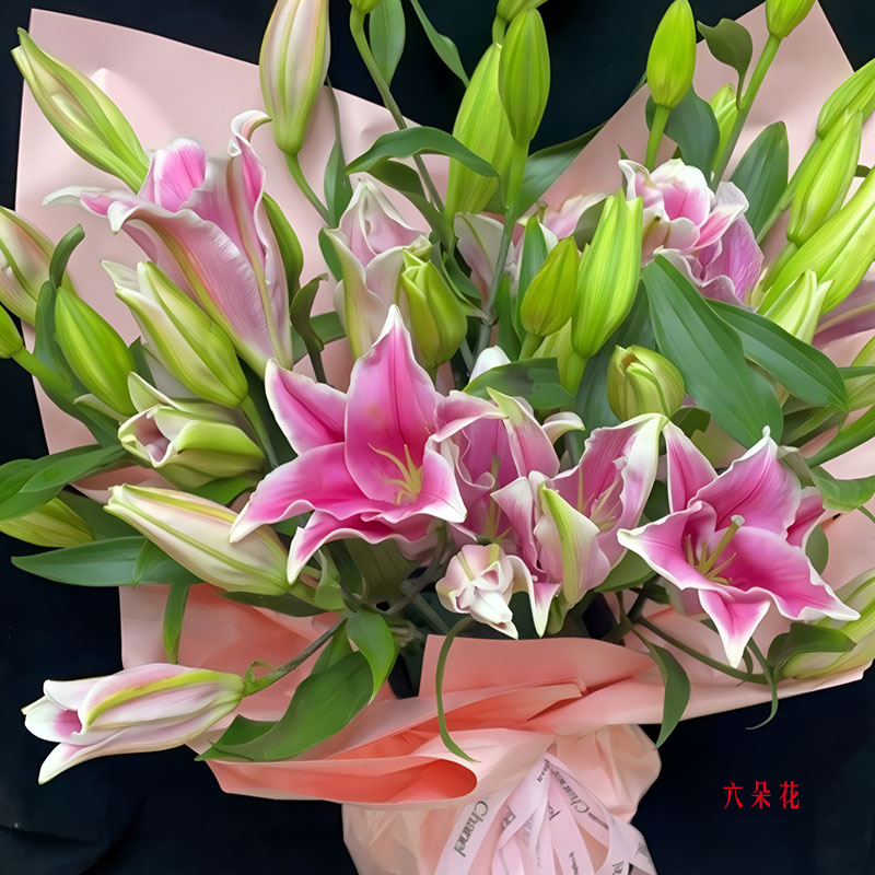 12֧ɫͷٺϣҵ飨ʵգ