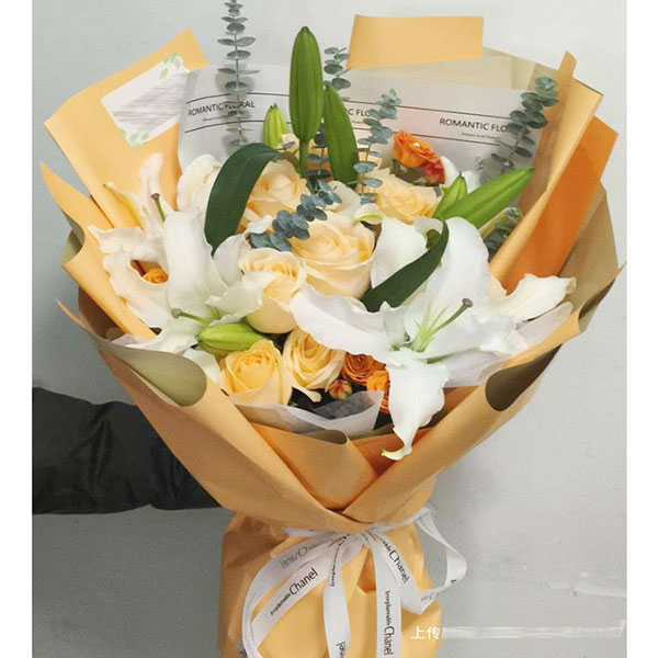 9������õ��2֧�ٺϣ���ů���������ʵ���գ�