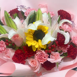 �����л�������ظ��������ͻ�ʵ��(18�俵��ܰ2�����տ��ٺϣ������â����)