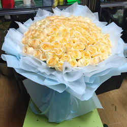 99������õ�壬��������ͣЪ