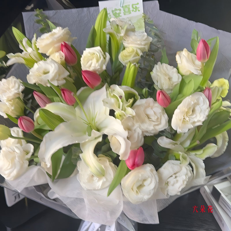 9֧��ɫ������ٺϣ����㳯Ϧ����Ҹ���Զ��ʵ���գ�