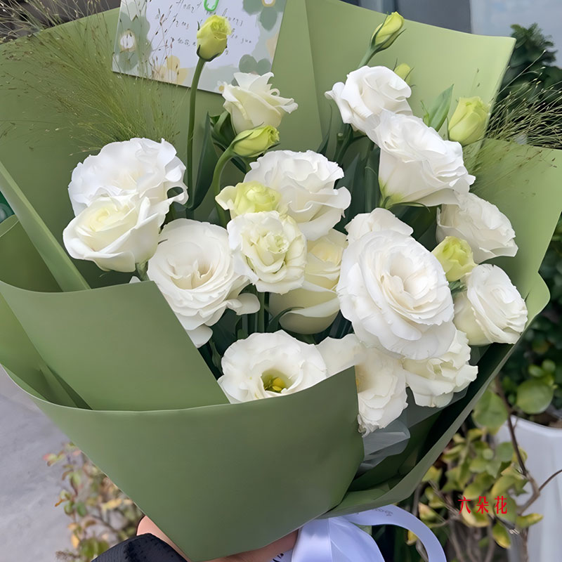 22���ɫ�۹��������������루ʵ���գ�