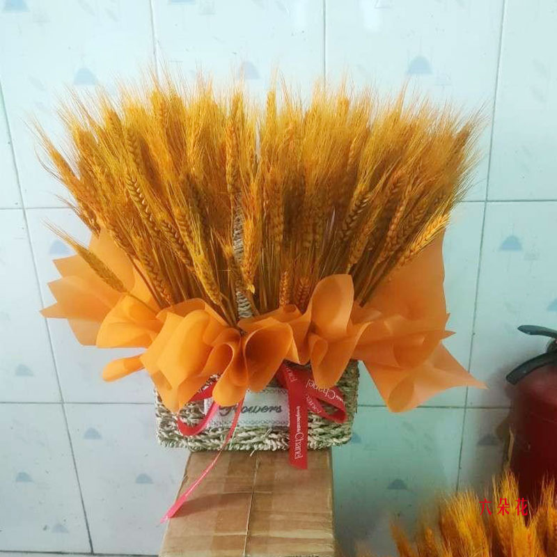 300֧滨ףԽԽɹʵգ