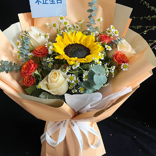 送正阳县中心花园的鲜花实拍图