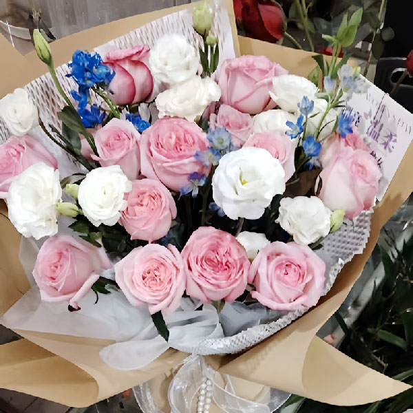 ���佭������ͤ�������ʻ�ʵ��ͼ