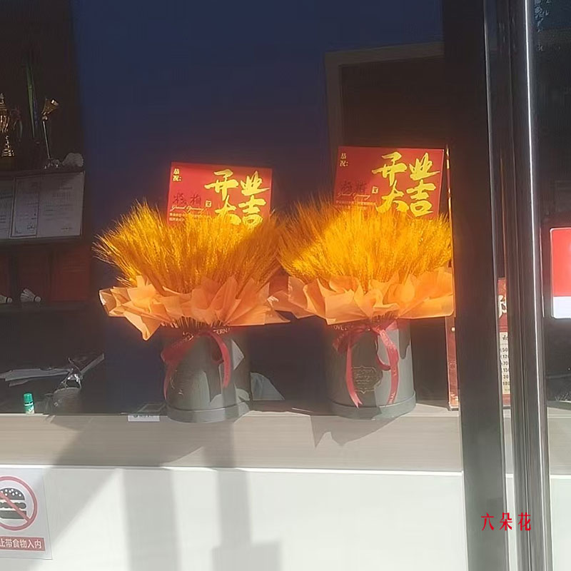300֧滨ףԽԽɹʵգ