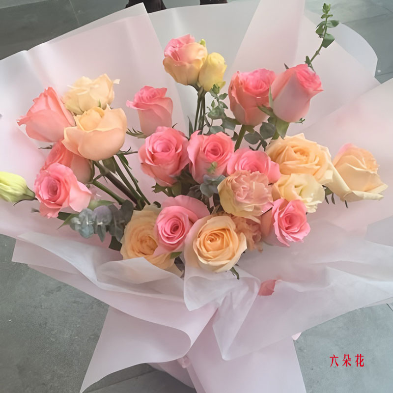 11ȷõ壬˳ʵգ
