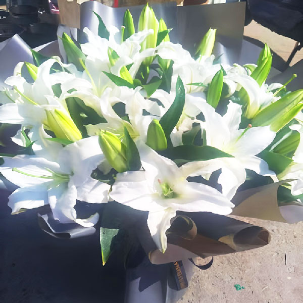 �ͺ��������Ӷ�����������ʻ�԰2��¥���ʻ�ʵ��ͼ