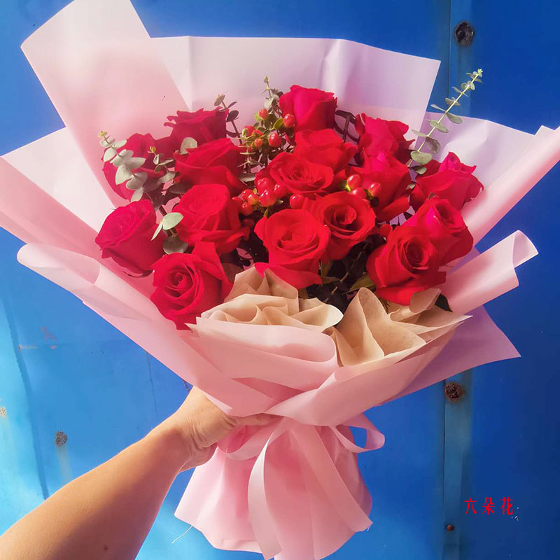 16õ춹񻨵ɫʣʵգ
