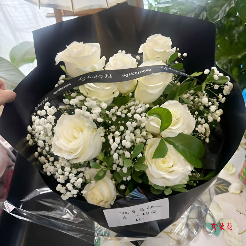 9õ壬⣨ʵգ