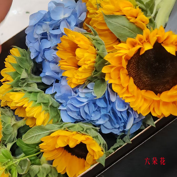 9տУң˼ʵգ