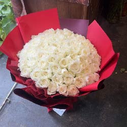 ݺ齭㳡ͻʵ(66õ壬)