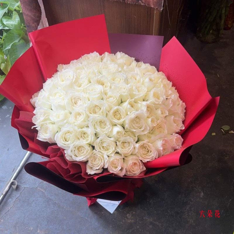 66õ壬ʵգ