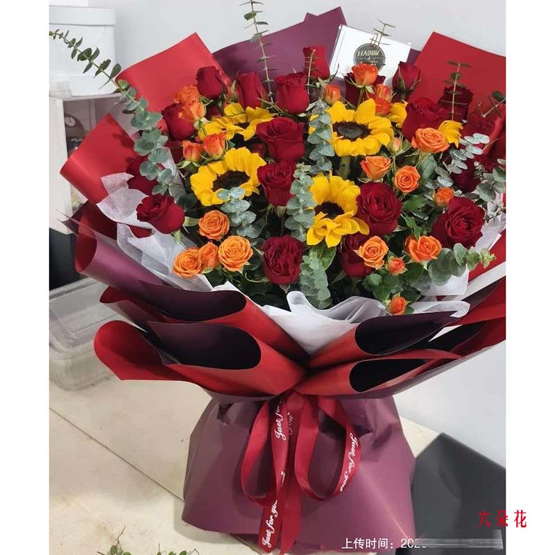 19���õ��5�����տ�����ůɢ���ҷ���ʵ���գ�