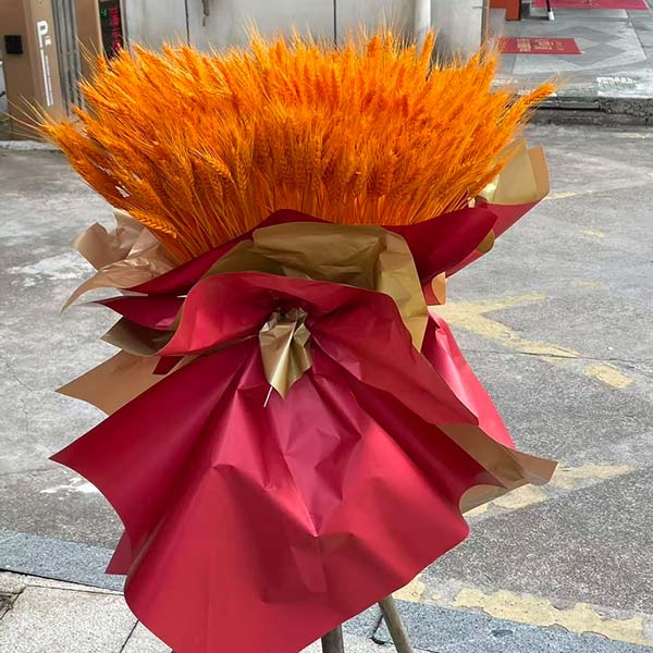 �������żܿ�ҵ������δ��Ϊ�㿪��(ʵ����)