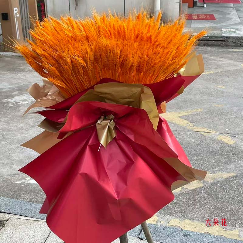 �������żܿ�ҵ������δ��Ϊ�㿪����ʵ���գ�