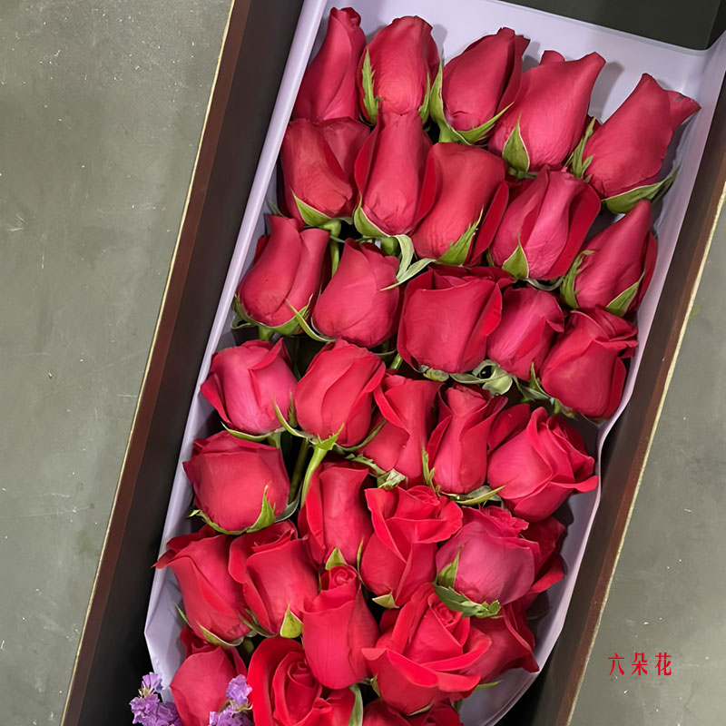 33���õ����У�����������һ��ʵ���գ�