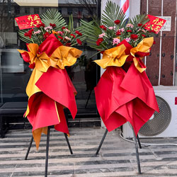 ������������̩�׸����������ͻ�ʵ��(20���ɫ���ɻ���������ҵ��ϲ)