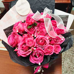 11�严�����º�õ��6֧��ͷõ�壬����һ��ȹ�