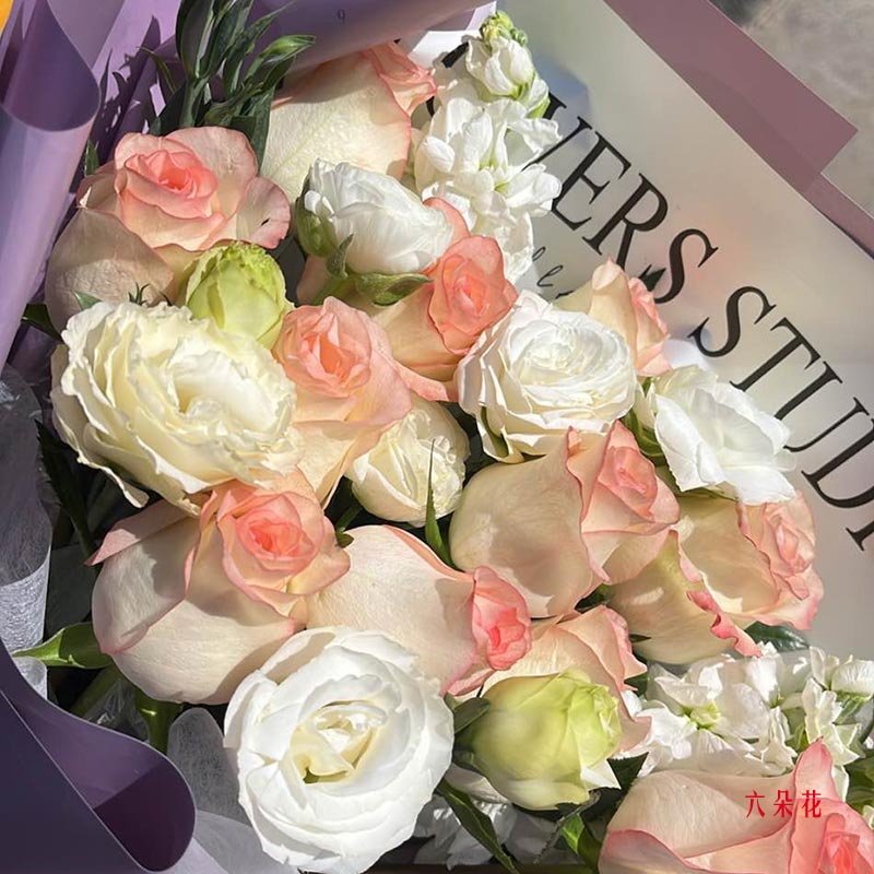 11�䰬ɯ��õ��۹���ϲ��������ᣨʵ���գ�