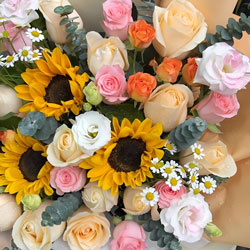 ¡����¡�ǽ��丽�������ͻ�ʵ��(26��õ��3�����տ����������ǿ)