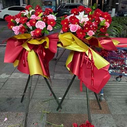 ������ӡ��·���������ͻ�ʵ��(���żܷ��ɻ�����ܰ�����������)