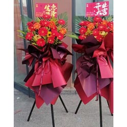 20���ɫ���ɻ���������ҵ��ϲ