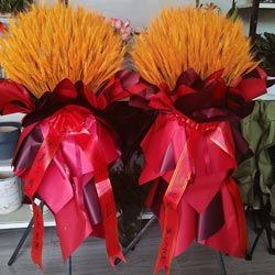 ���żܴ�������������������