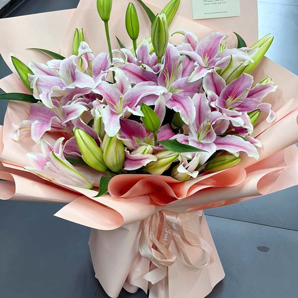 12֧��ɫ��ͷ�ٺϣ������ҵ����飨ʵ���գ�