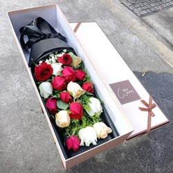 18��õ�壬���װ������ÿ�������