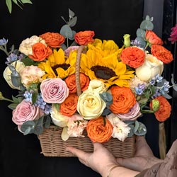 ���������������Ϻ���԰���������ͻ�ʵ��(12��õ��3�����տ��������Ҹ�������)