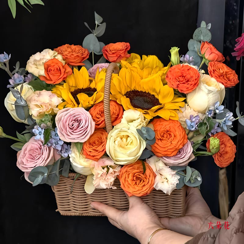 12��õ��3�����տ��������Ҹ������ӣ�ʵ���գ�