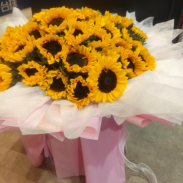 51�����տ��������ǹ�â��ʵ���գ�