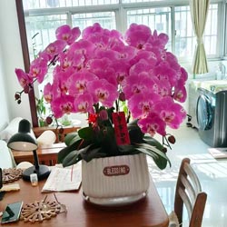 9���������������Ҹ�Χ������