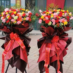 33��õ�念��ܰ���տ�����������ƪ