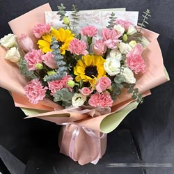 �����к�����Ӱ�ǻ�԰���������ͻ�ʵ��(10�俵��ܰ��õ��2�����տ����ж���������)