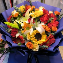 9������õ����ɻ�����ܰ������ǰ������