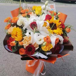 16��õ�����տ��ٺϣ��������ܵ�·
