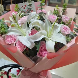 11���ɫ����ܰ2֧�ٺϣ�һ����������