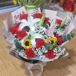 11�俵��ܰ2�����տ�2֧�ٺϣ������ľ���