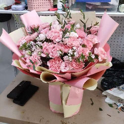 22���ɫ����ܰ4���õ�壬���鳣�����