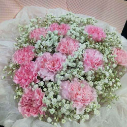 11�俵��ܰ�����Ƿ��������尲������