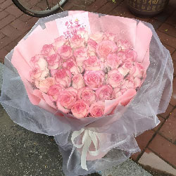 33�䰬ɯ��õ�壬�����ӵ�����