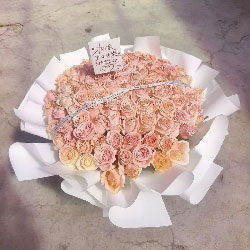 99���ѩɽ��õ�壬���������ĵ�