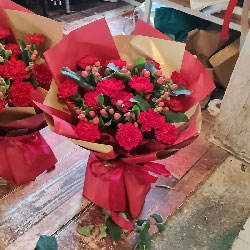 15���ɫ����ܰ���������ŷҷ�