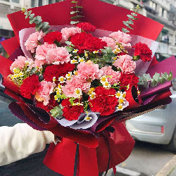 26�俵��ܰ��һ���Ҹ��೤