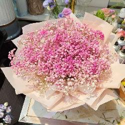 ��ɫ������һ������������Ӿ��п���