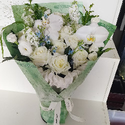 8���õ��2�������㣬����ÿ������