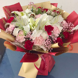 20�俵��ܰ2֧�ٺϣ�����������ů