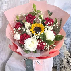 �����Ϻ����Ҹ��������ͻ�ʵ��(6���ɫ����ܰ���տ���ƽ������ÿһ��)